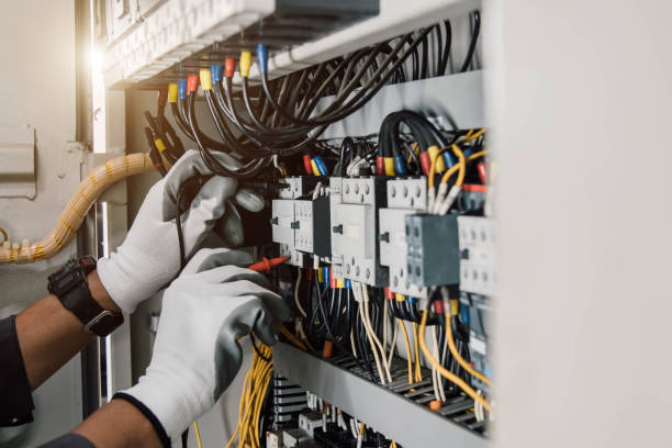 Best Electric Panel Repair  in Merrill, IA
